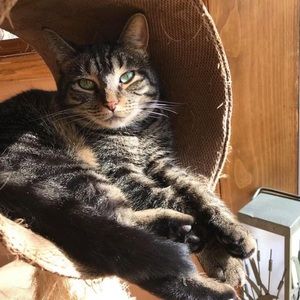 Meet your Posher, Frances